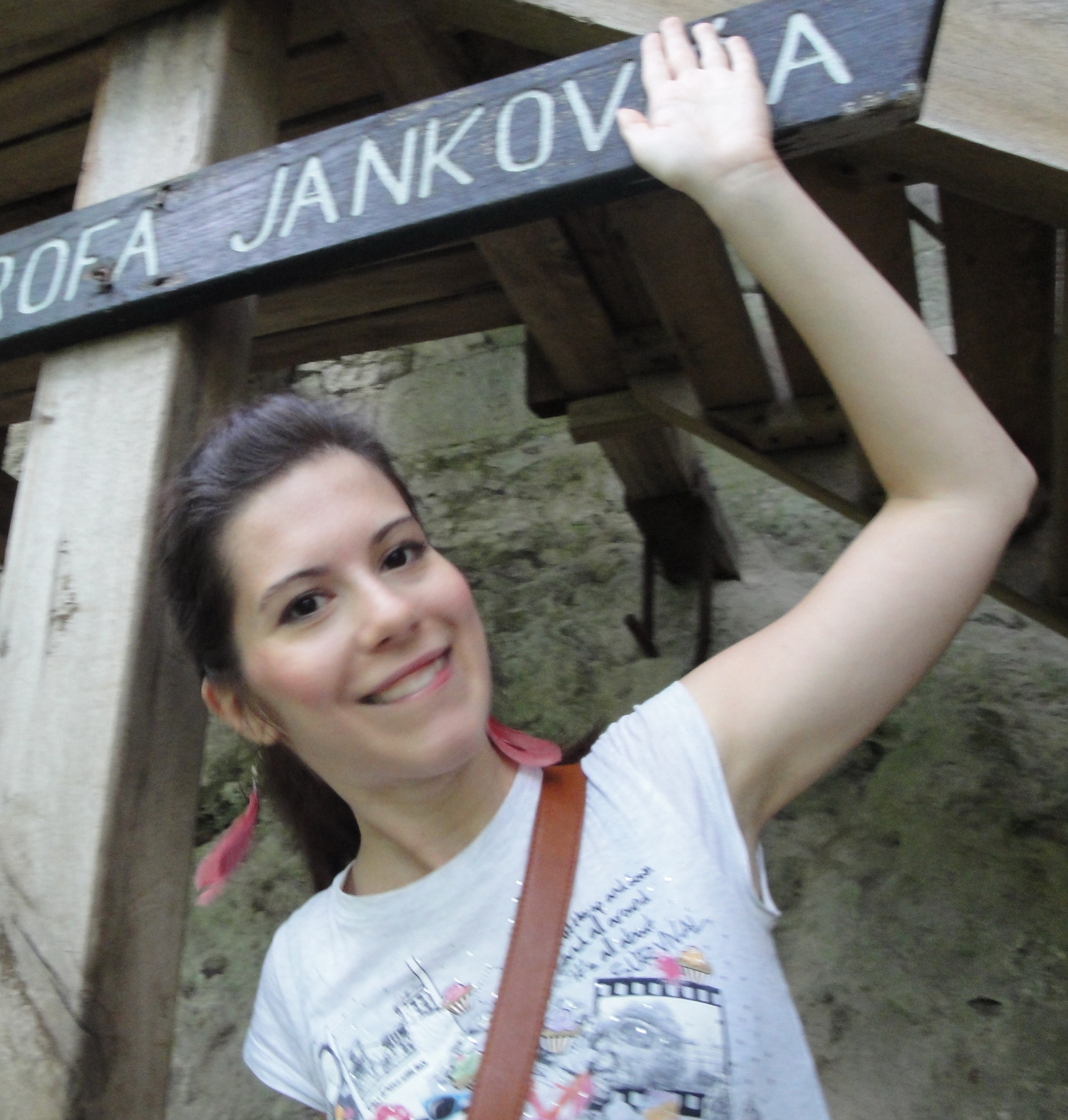 moja slika